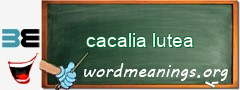 WordMeaning blackboard for cacalia lutea